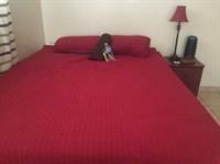 Ministay Astoria Steinway New York Exterior photo